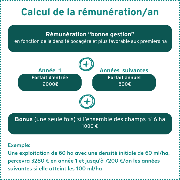 Carabes et canopée schéma rémunération