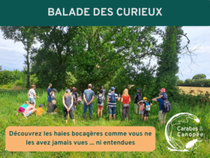 Balade des curieux 2026